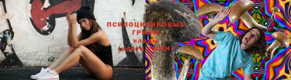 МДПВ Бугульма